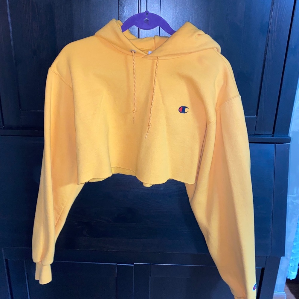 cropped champion hoodie